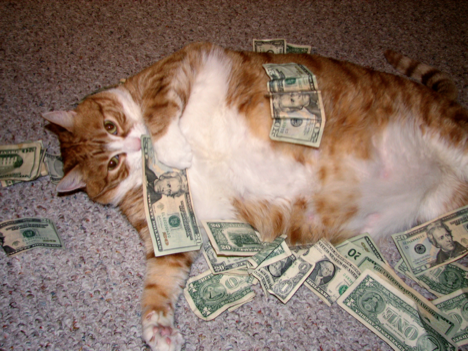 http://p9.qhimg.com/t01225cfd3df9a46acb.png