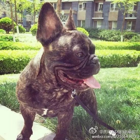 顶级黑客欢乐解析：宝宝事件中人肉搜索的七种方法