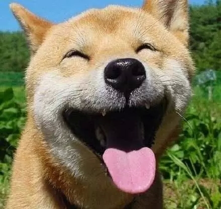 https://static.xxoo.help/34/3333a6a25f83b301f18ee0a4bdd7a7