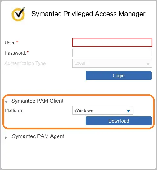 赛门铁克修补了严重安全漏洞-CVE-2025-24503（CVSSv 4 9.3）