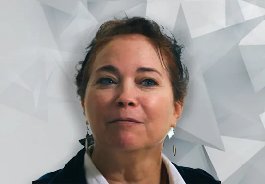 Kim Zetter - 调查记者和书籍作者